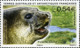 TAAF 2008  MiNr. 660 - 663(Block 19) Fr. Antarktis Marine Mammals Southern Elephant Seal S/sh MNH**  5.00 € - Fauna Antartica