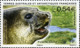 TAAF 2008  MiNr. 660 - 663(Block 19) Fr. Antarktis Marine Mammals Southern Elephant Seal S/sh MNH**  5.00 € - Faune Antarctique