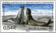 TAAF 2008  MiNr. 660 - 663(Block 19) Fr. Antarktis Marine Mammals Southern Elephant Seal S/sh MNH**  5.00 € - Faune Antarctique