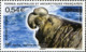 TAAF 2008  MiNr. 660 - 663(Block 19) Fr. Antarktis Marine Mammals Southern Elephant Seal S/sh MNH**  5.00 € - Faune Antarctique