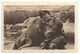 Der Wärter Barry Mit Dem Walross Pallas Car Hagenbeck's Tierpark Stellingen Hamburg 1915 - Stellingen