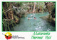 1 AK Australien / Northern Territory (NT) * Elsey-Nationalpark Mit Dem Mataranka Thermal Pool * - Non Classés