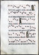 Very Rare Large Elephant Folio Vellum Sheet. Out Of An Antiphonary Manuscript From The 15th Century. / Seltene - Teatro & Script