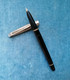 PENNA STILOGRAFICA ASTER 1960 VINTAGE ITALIAN FOUNTAIN PEN - Stylos