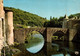 BRASSAC Le Vieux Pont Et Les Rives De L'Agout     ( Recto-verso) 81 Tarn - Brassac