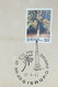 Space, Satellite, Science, Rocket, Palm Tree, Coconut Tree, Permanent Pictorial Postmark, Telecommunication, India 1975 - Azië