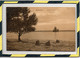 BLANKENESE - MORGENSTIMMUNG. CIRCULEE EN 1915 - Blankenese