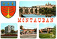 MONTAUBAN  Le Musée Et Le Pont Vieux, Jardin Public Bd Doumerc , La Préfecture  ( Recto-verso)   82 Tarn Et Garonne - Montauban