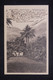 SIERRA LEONE - Affranchissement De Freetown Sur Carte Postale Pour La France En 1906 - L 127064 - Sierra Leone (...-1960)