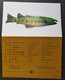 Taiwan Trout Freshwater Fish 1995 (FDC) *card *see Scan - Brieven En Documenten