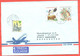 Slovakia 2004. The Envelope Passed Through The Mail. Airmail. - Brieven En Documenten