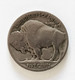 Etats-Unis - 5 Five Cents Buffalo - 1913-1938: Buffalo