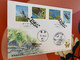 Taiwan Stamp Dragonfly FDC In Regd Cover With Special Chops - Covers & Documents