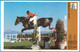 EQUESTRIAN SPORT - Yugoslavia Old Card Svijet Sporta 1980 * Equestrian Pferdesport Equestre Deporte Ecuestre Esporte E. - Equitation