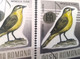 Errors Romania 1966 # MI 2506 Printed With  Plumage Error Displaced Bird - Plaatfouten En Curiosa