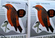 Errors Romania 1966 # MI 2501 Printed  With Displaced Bird , Songbirds - Variétés Et Curiosités