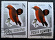Errors Romania 1966 # MI 2501 Printed  With Displaced Bird , Songbirds - Variétés Et Curiosités
