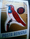 Errors Romania 1966 # MI 2505 Printed  With Displaced Bird , Songbirds - Plaatfouten En Curiosa