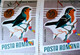 Errors Romania 1966 # MI 2504 Printed  With Displaced Bird , Songbirds - Variedades Y Curiosidades
