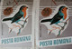 Errors Romania 1966 # MI 2504 Printed  With Displaced Bird , Songbirds - Abarten Und Kuriositäten