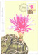 Cactus, Czech:Maxi Card, Gymnocalycium Denudatum, 2006 - Cactusses