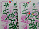 Stamps Errors Romania 1966 # Mi 2528 Printed With Misplaced Plants Flower Image Used - Variétés Et Curiosités