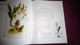 Delcampe - BOTANICAL ORCHIDS And How To Grow Them Botanique Plantes Fleur Orchidées Flowers Index Classification Societies Orchidea - Andere & Zonder Classificatie