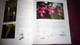 Delcampe - BOTANICAL ORCHIDS And How To Grow Them Botanique Plantes Fleur Orchidées Flowers Index Classification Societies Orchidea - Autres & Non Classés