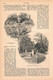 Delcampe - A102 1203 Otto Baisch Potsdam Friedenskirche Schloss Artikel / Bilder 1884 !! - Andere & Zonder Classificatie