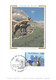 Carte Maximum Card Montagne Mountain Bouquetin Parc National De La Vanoise Planay 73 Savoie 1996 -  ♥♥♥ - 1990-1999