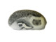 HEDGEHOG And BABY Hand Painted On A Beach Stone Paperweight - Fermacarte