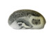 HEDGEHOG And BABY Hand Painted On A Beach Stone Paperweight - Paper-weights