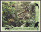 Delcampe - India 2009 Complete/ Full Set 12 Different Mini/ Miniature Sheet Year Pack Railway Fauna Art MS MNH As Per Scan - Preservar Las Regiones Polares Y Glaciares