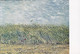 Netherlands PPC Vincent Van Gogh : Wheatfield With Lark Stedelijk Museum Postally Used In Sweden To Denmark (2 Scans) - Van Gogh, Vincent