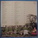 * LP *  ALLE 20 SCHUIN - DIVERSE ARTIESTEN (Holland 1981) - Autres - Musique Néerlandaise