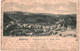 CPA-Carte Postale  Belgique Esneux Panorama Vers Le Rond Chêne 1902 VM53948 - Esneux