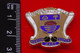 Vintage Enamel And Metal Badge Bowling Bowler Bowls Lawn Bowls Clarence Bowling Club Weston Super Mare - Bowling