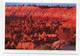 AK 072626 USA - Utah - Bryce Canyon National Park - Sonnenuntergang - Bryce Canyon
