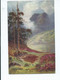 Postcard Scotland Highland Loch Maree Faulkner And Co. Artist Impression Fine Art Posted 1905 Chatham - Ross & Cromarty