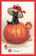 341767-Halloween, Gabriel No 120-2, Frances Brundage, Boy Sneaking Up On Black Cat - Halloween