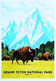 ► GRAND TETON   - NATIONAL PARK -  Wyoming Buffalo - USA National Parks