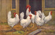 CPA - OSIEAUX - Illustration De La Basse Cour - Coq Et Poule STF Edition STEHK - Vögel