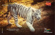 Delcampe - India 2022 Nandankanan Zoological Park , International Tiger Day,  5 Postcards Pack Set + Case , MNH(**) Inde Indien - Covers & Documents