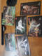 Delcampe - India 2022 Nandankanan Zoological Park , International Tiger Day,  5 Postcards Pack Set + Case , MNH(**) Inde Indien - Briefe U. Dokumente