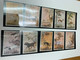 Taiwan Stamp 10 Different Dogs Painting MNH - Covers & Documents