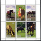 CARELIE KARELIA, CHEVAUX / HORSES, 6 Valeurs Et 1 Bloc, Neufs / Mint. R991/2 - Fantasy Labels