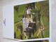 SERIE DE 8 MENUS AIR FRANCE CHATEAUX - Menu Cards