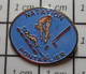 1321 Pin's Pins / Beau Et Rare / THEME : SPORTS / NATATION PONTARLIER PLONGEON - Nuoto