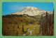 1959 Cancelled PC Washington Rainier National Park Mount Rainier And Paradise Valley Mont Montagne Mountain - Tacoma