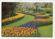 AK 073999 NETHERLANDS - Lisse - Keukenhof - Lisse